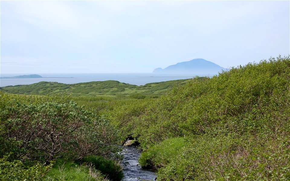 Izembek Landscape