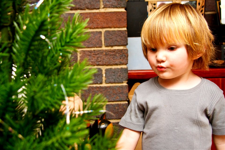 Assembling the tree-9