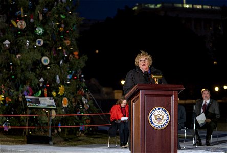 CapitolXmasTreeLighting-WashingtonDC-029 photo