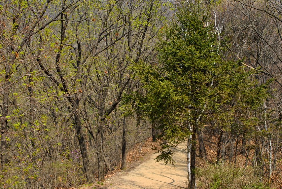 Taejosan Mountain