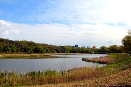 Urban Wetlands