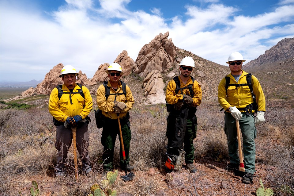 Las Cruces Fuels Project