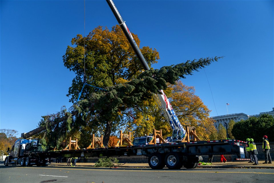 CapitolXmasTree-WashingtonDC-037