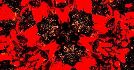 Kaleidoscope211210152323
