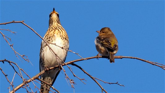 Die hochnäsige Tussi macht ganz schön Wind!