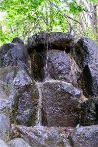 japanes_garden_rain_Herastrau (14)