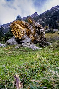 IMG_3489-Modifier-4