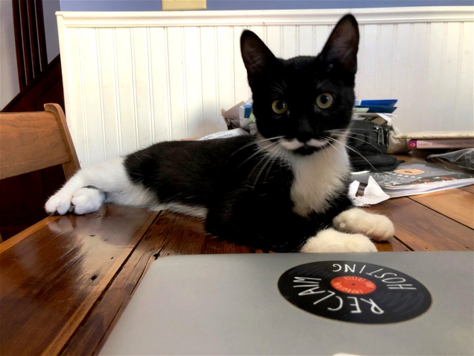 Charlie Wants a Domain of Her Own