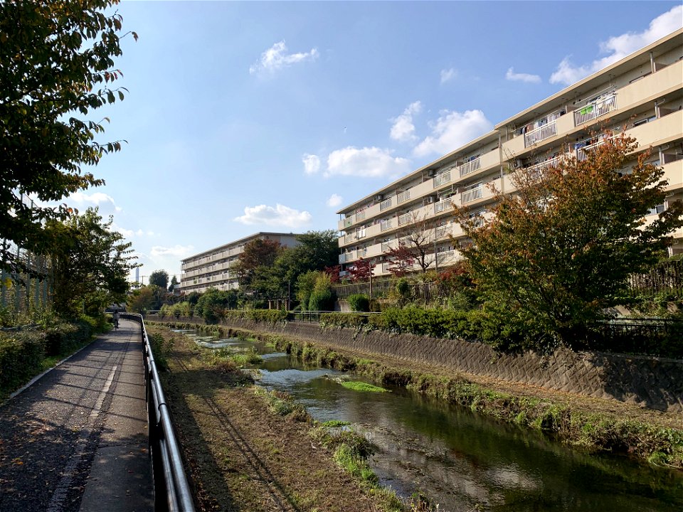 Kurome River in Nobidome, Higashikurume-shi in November