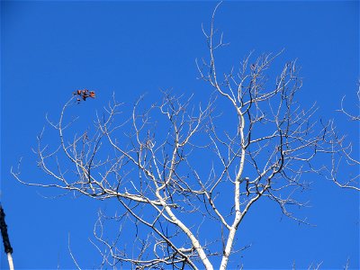 20221018-FS-Superior-SAR-011