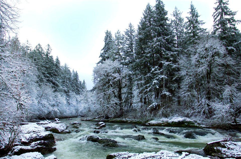 Calapooia River in winter, Oregon photo