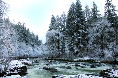 Calapooia River in winter, Oregon photo