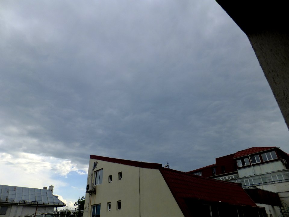 nori-sediu2015_0511_164434