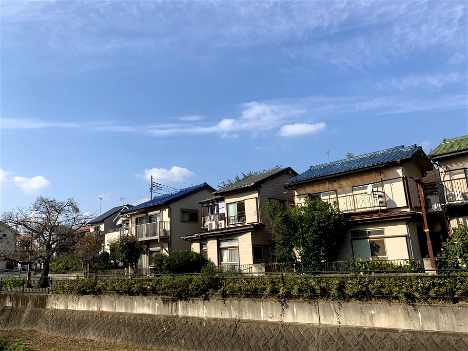 Koyama, Higashikurume-shi in November