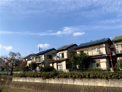 Koyama, Higashikurume-shi in November