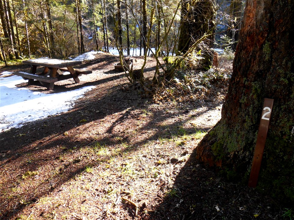 ashflat3jpg_49364908637_o