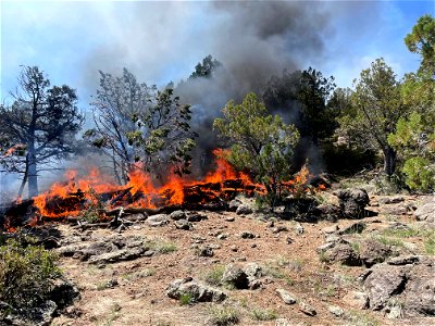 Volunteer Fire 3
