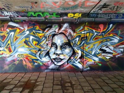 Step In The Arena - Grafiti Walls Eindhoven
