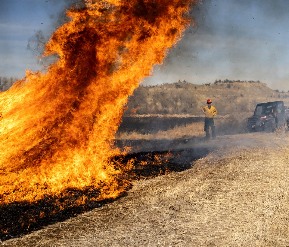 2021 BLM Fire Employee Photo Contest Winner Category: Fuels Management and Prescribed Fire photo