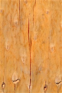 Texture