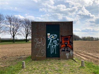 oranje sponge bob