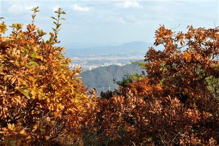 Deoksungsan Mountain