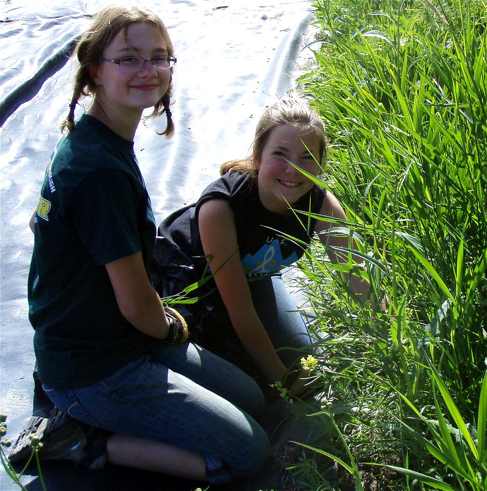 Piper and Annemarie weed tarping