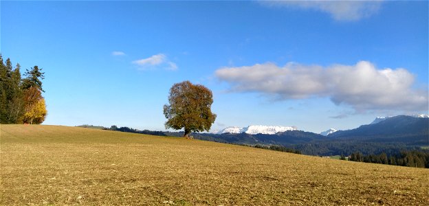IMG_20211106_150155