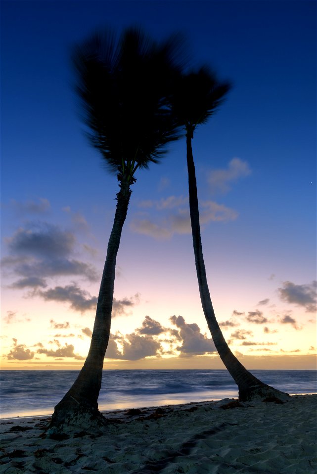 Bávaro Sunrise, Dominican Republic photo