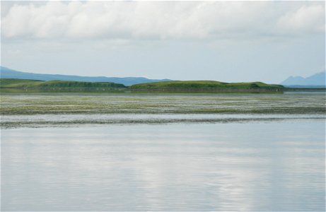 Eelgrass in Izembek Lagoon photo