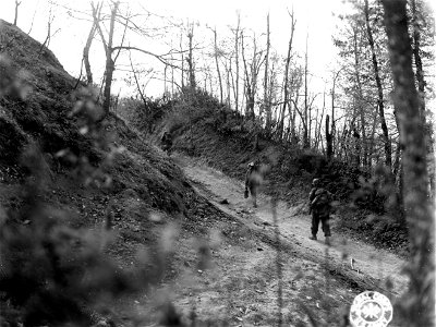 SC 270867 - Members of the 1st Bn., 85th Inf. Regt., 10th Mtn. Div., moving up a road on the side of Mt. Le Coste. photo