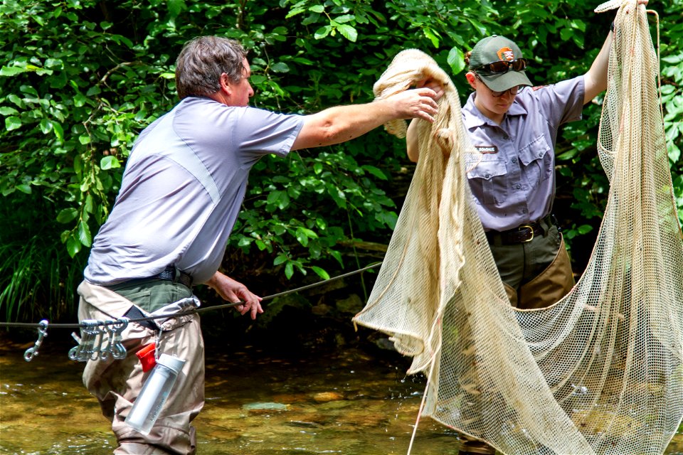 Fisheries Crew at Rapidan photo