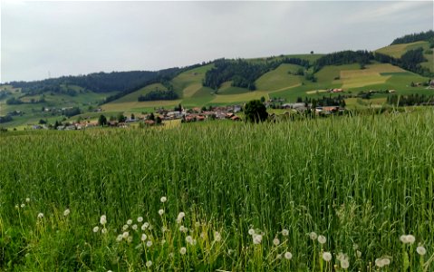 IMG_20220522_163130