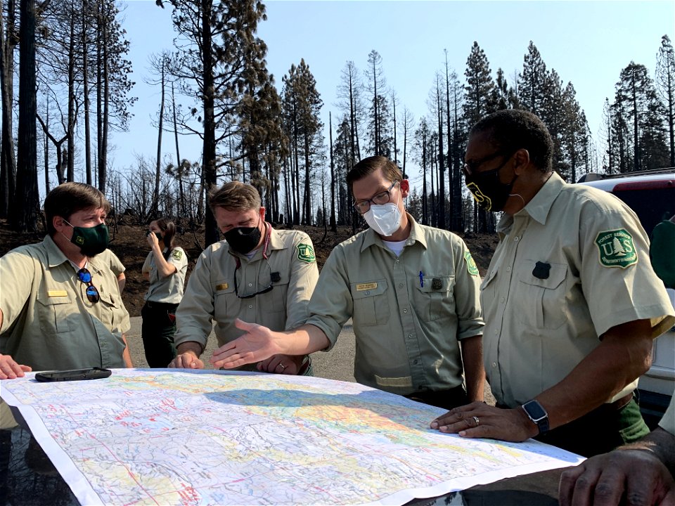ForestManagement-Eldorado-Sept2021-1164