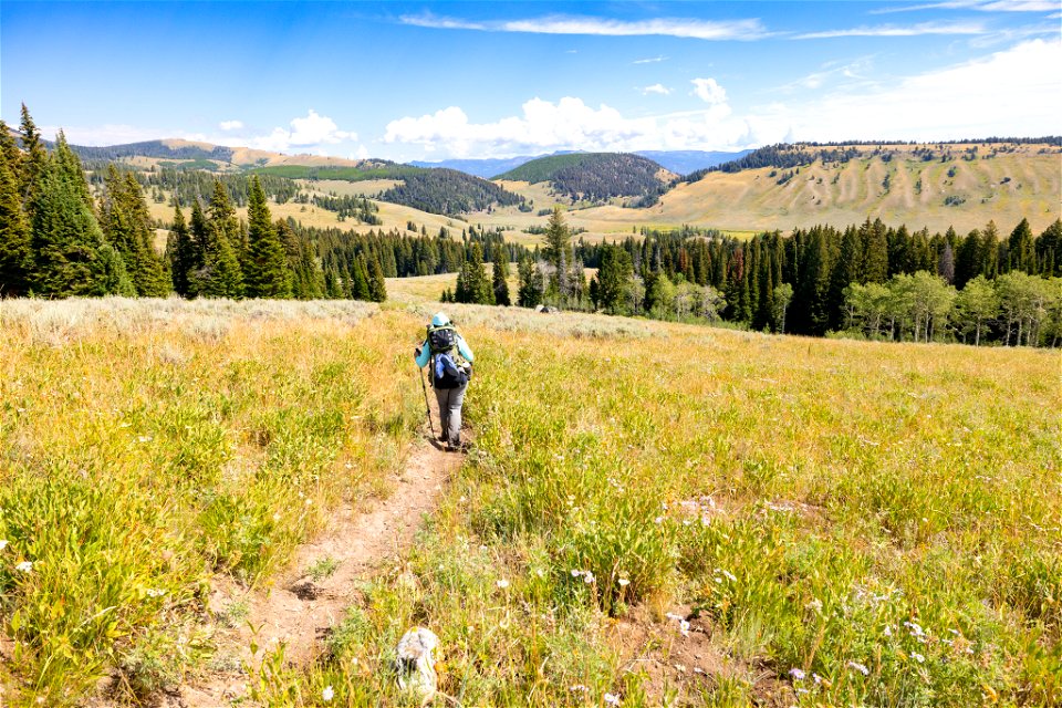 Hiking the Fawn Pass Trail towards the Snow Pass Trail junction