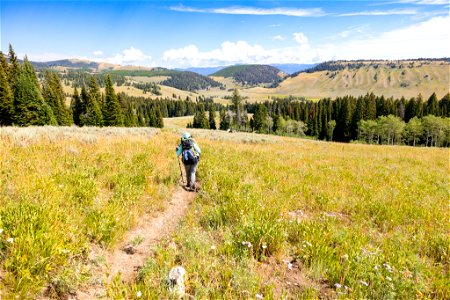 Hiking the Fawn Pass Trail towards the Snow Pass Trail junction