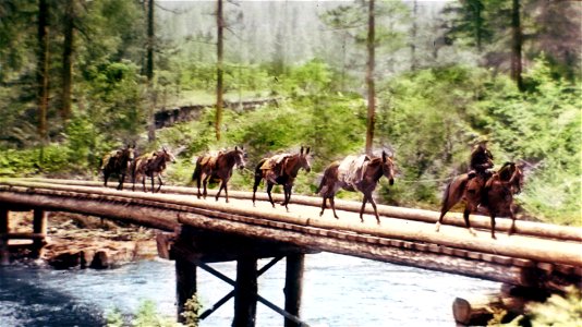 umpqua-nf---steamboat-cr-bridge-or-1935-2jpg_49385815732_o photo