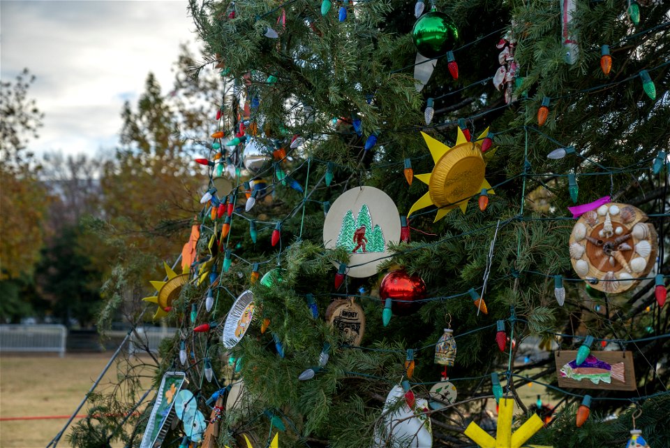 CapitolXmasTreeLighting-WashingtonDC-011