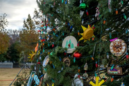 CapitolXmasTreeLighting-WashingtonDC-011 photo