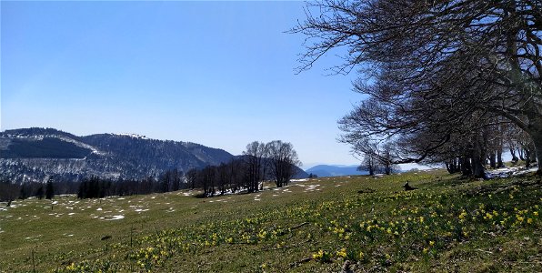 IMG_20210408_145457