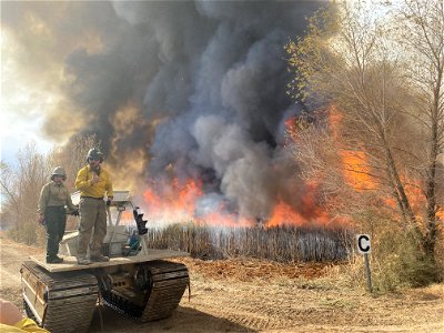 Equipment Category - USFWS 2022 Photo/Video Contest