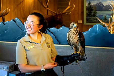 Refuge Educator with a Juvenile Swainson's Hawk