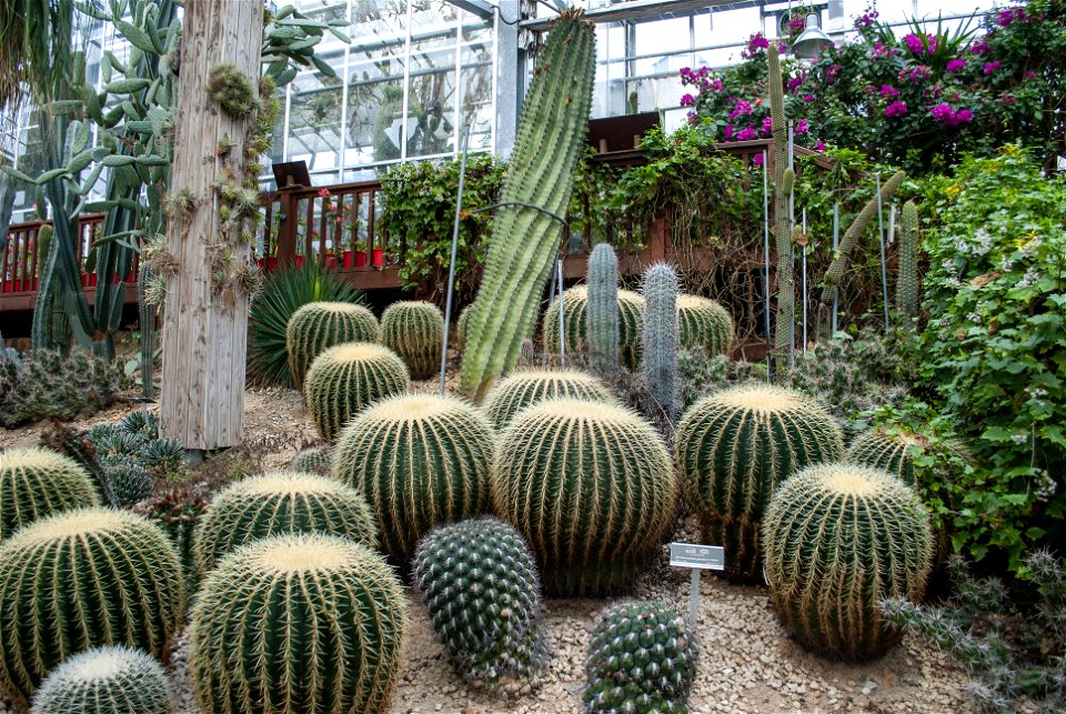 Hantaek Botanical Garden