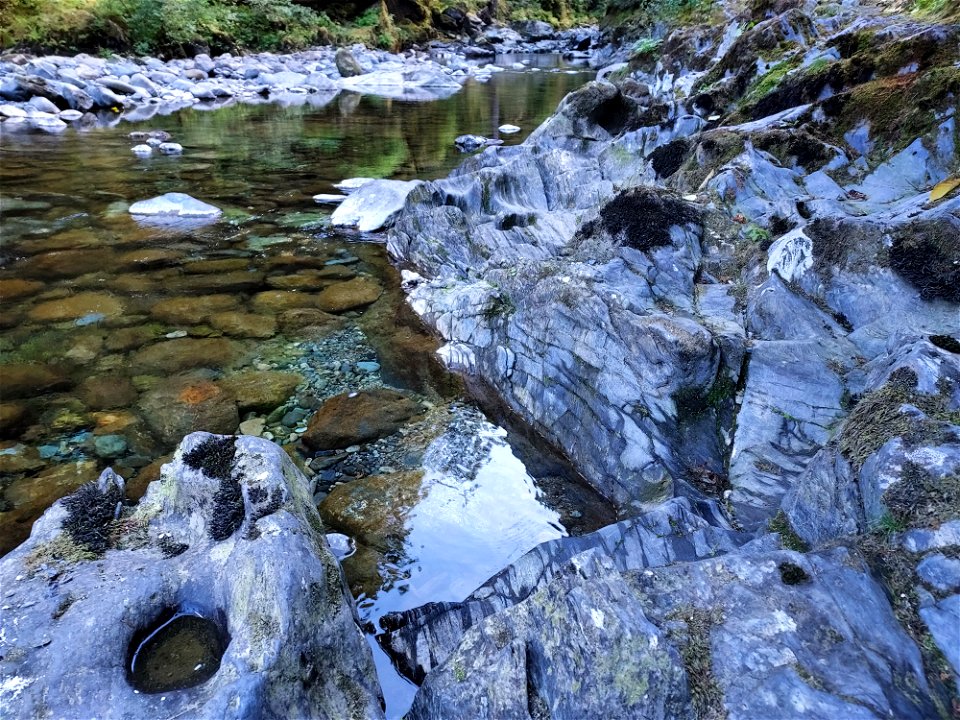 Clear Creek, Mt. Baker-Snoqualmie National Forest. Photo by Anne Vassar Sept. 13, 2021.