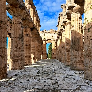Looking through the middle Temple of Neptune Paestum Itlay