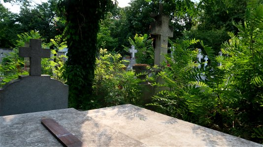 IMG_0327