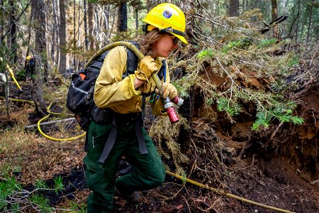 Caldor Fire photo