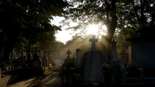 SfVineri_cemetery2021_0728_064025