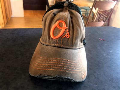 Clean as an Oriole Bird