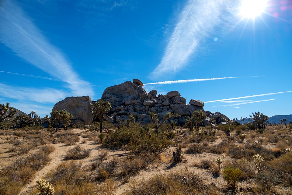 Joshua Tree National Park